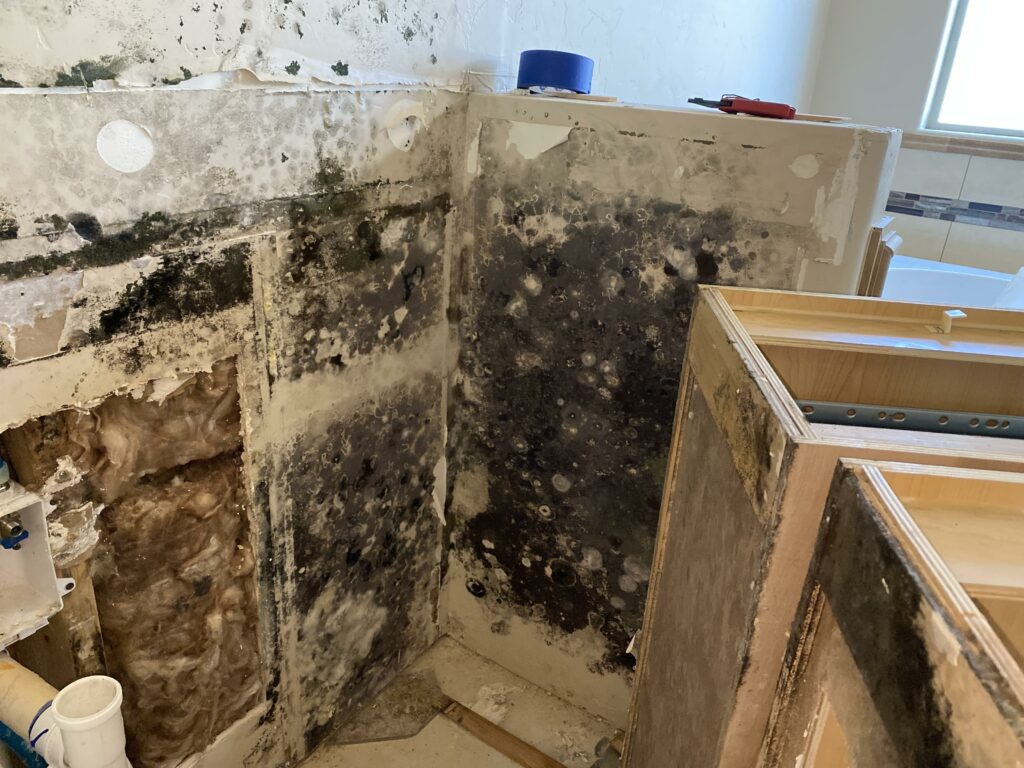 Mold in bathroom